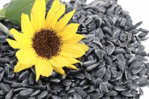 Соняшникове насіння в Agro-Market: золоте поле вашого врожаю
